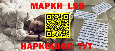 шишки Абакан