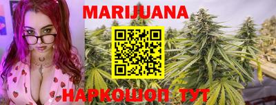 шишки Абакан
