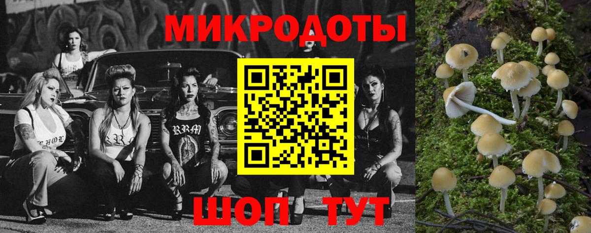 Псилоцибиновые грибы MAGIC MUSHROOMS  Вход с VPN  Алексеевка  Псилоцибиновые грибы ЛСД 