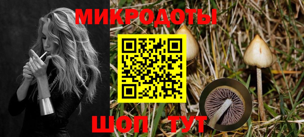 Галлюциногенные грибы Psilocybine cubensis Алексеевка
